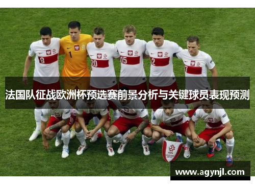 法国队征战欧洲杯预选赛前景分析与关键球员表现预测
