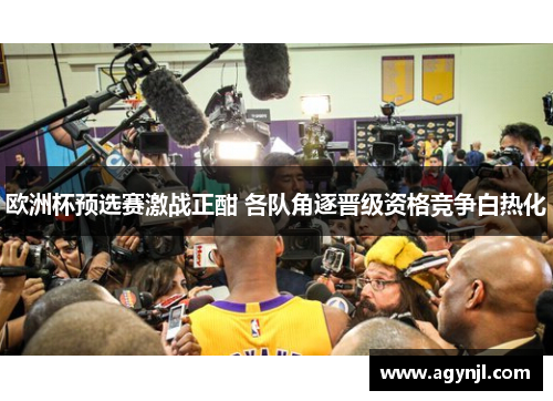 欧洲杯预选赛激战正酣 各队角逐晋级资格竞争白热化