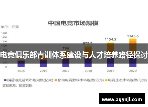 电竞俱乐部青训体系建设与人才培养路径探讨