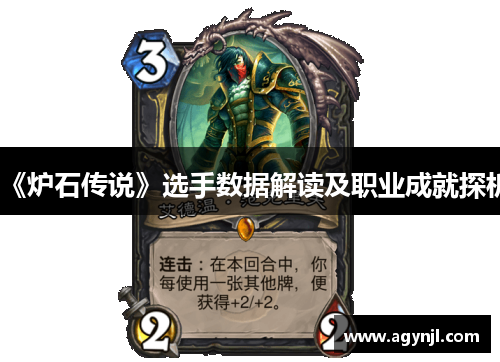 《炉石传说》选手数据解读及职业成就探析