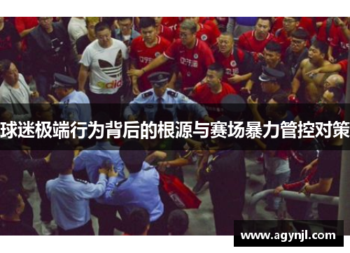 球迷极端行为背后的根源与赛场暴力管控对策 球迷极端行为背后的根源与赛场暴力管控对策