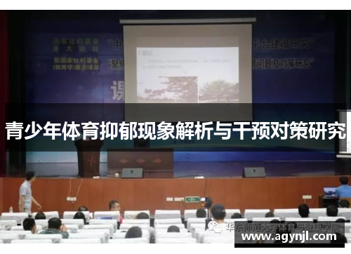 青少年体育抑郁现象解析与干预对策研究 青少年体育抑郁现象解析与干预对策研究