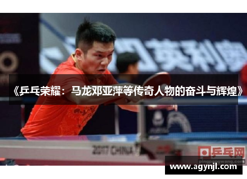 《乒乓荣耀：马龙邓亚萍等传奇人物的奋斗与辉煌》