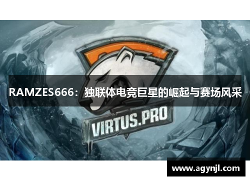 RAMZES666：独联体电竞巨星的崛起与赛场风采