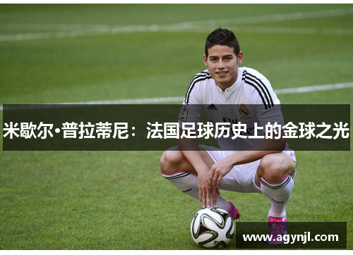 米歇尔·普拉蒂尼：法国足球历史上的金球之光