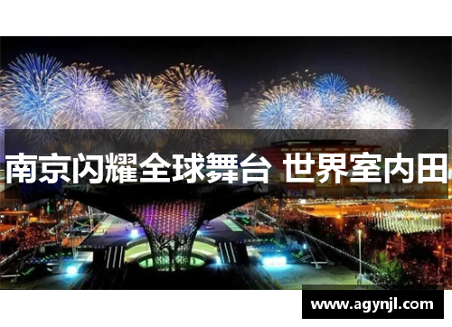 南京闪耀全球舞台 世界室内田