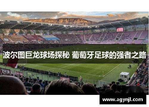 波尔图巨龙球场探秘 葡萄牙足球的强者之路 波尔图巨龙球场探秘 葡萄牙足球的强者之路